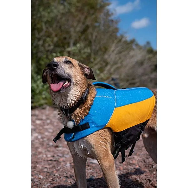 Astral BirdDog PFD 4 Astral BirdDog PFD