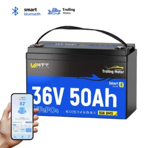 WattCycle 36V 50Ah Bluetooth LiFePO4 Battery KayakDIY