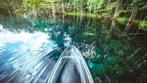 Paddling a clear kayak on the spring run at Silver Springs, Florida